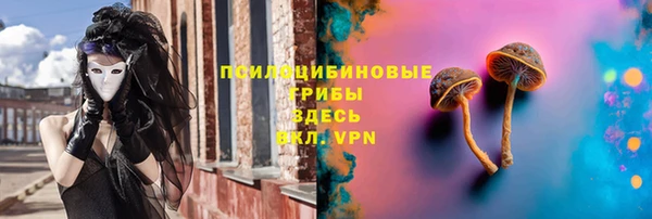мяу мяу мука Гусь-Хрустальный