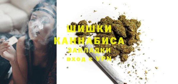 мяу мяу мука Гусь-Хрустальный
