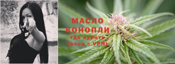 мет Гусев