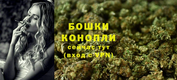 мет Гусев