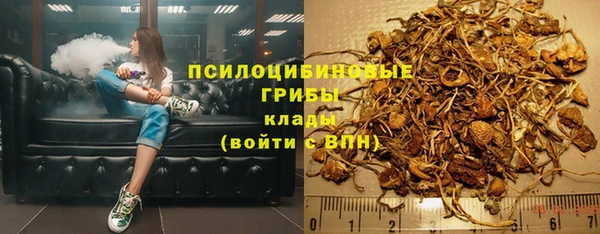 мет Гусев