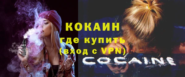 мяу мяу мука Гусь-Хрустальный