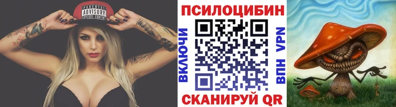 дарнет шоп  Мценск  Галлюциногенные грибы Psilocybine cubensis 